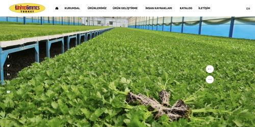 United Genetics